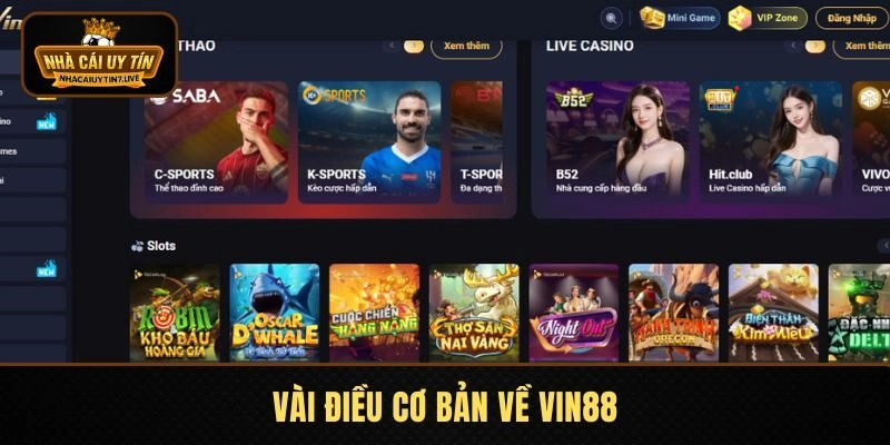 Vài điều cơ bản về VIN88